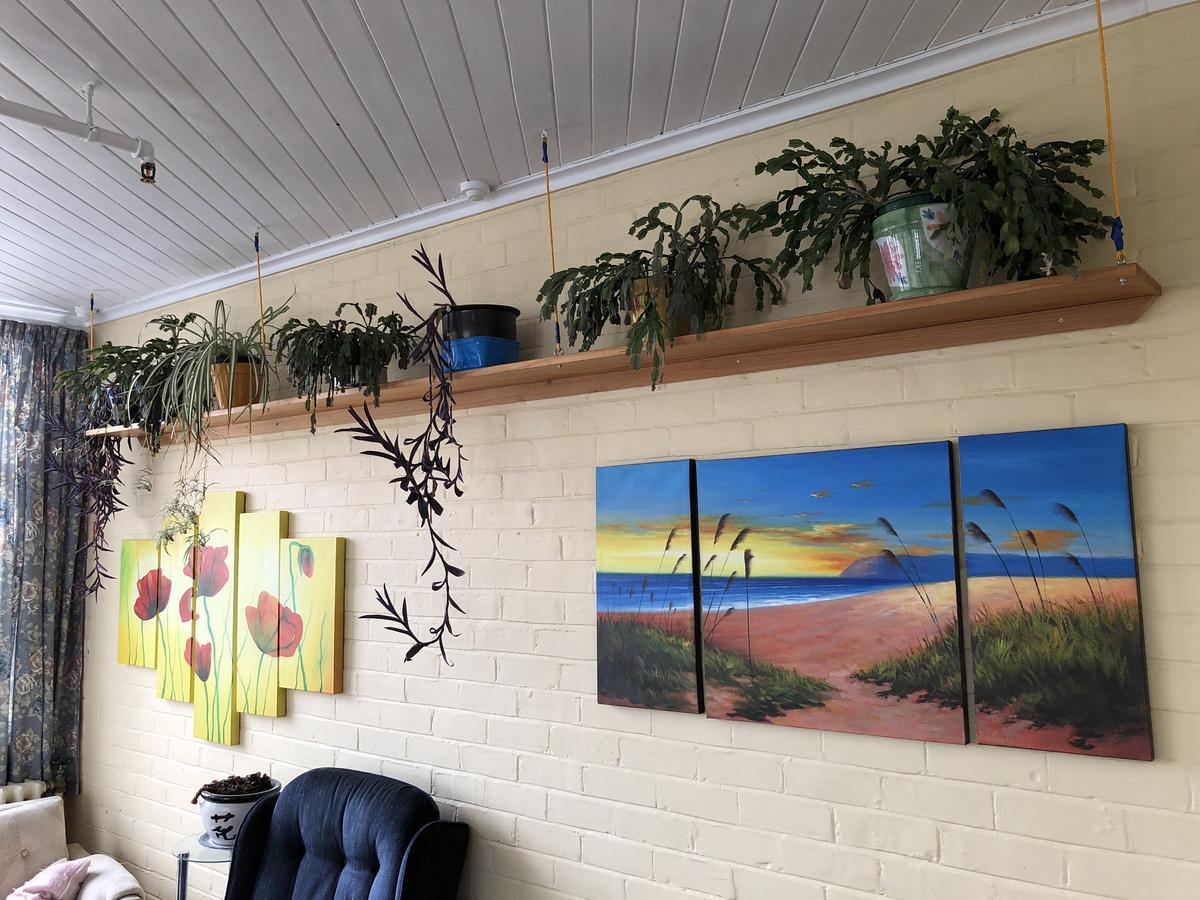 Chalet Backpackers Dunedin Exterior photo